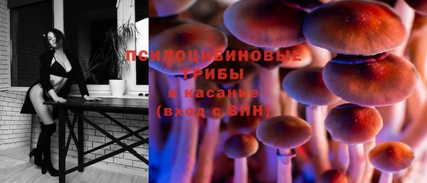 прущие крисы Баксан