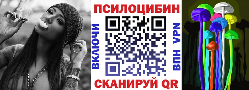 Псилоцибиновые грибы прущие грибы  купить наркотики сайты  Кодинск 